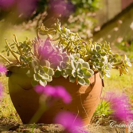 Nyaraló Jasmine Sommières
