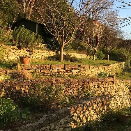 Nyaraló Jasmine